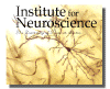 UT Institute for Neuroscience
