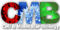 Institute for Cellular and Molecular Biology